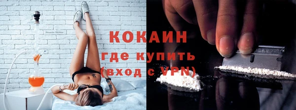 сатива Арсеньев