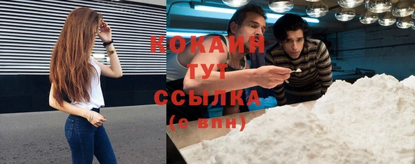 сатива Арсеньев